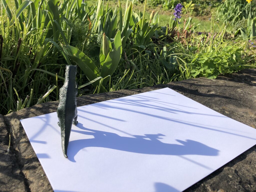 Dinosaur toy on a piece of paper in a garden. Shadow projecting from the sun.